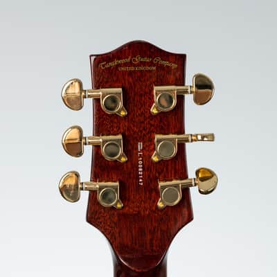 Tanglewood TSB:C:58 LTD1 2010 Signature Series electric guitar with hard case image 8
