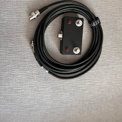 Amplified Nation Ampliphonix & Gain Maroon Suede Cane Front 50-watt MINT! image 6