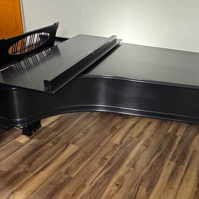 Baldwin D 1901 - Ebony Satin image 12