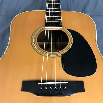 Morris W-20 Spruce / Rosewood image 6