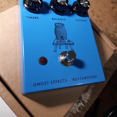 Ghost Effects Buzzaround 2026 FUZZ image 2