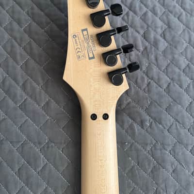 (SALE!) (READ DESCRIPTION) Ibanez RG420EG-BAM Standard 2008 - 2009 - Bio Armor image 7
