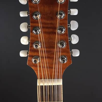 Michael Kelly Triad 10E, 10-String Acoustic/Electric Guitar image 5