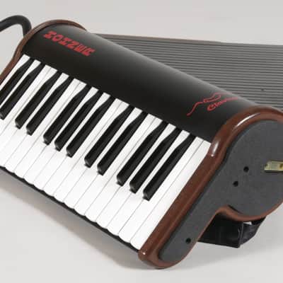Hohner Claviola unique wind instrument + softbag + owner’s manual + mouth piece image 4