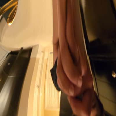 Adams Sonic flugelhorn 2026 - Gold laquer image 6