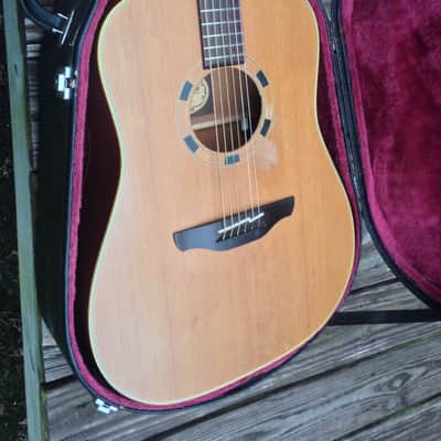 Takamine N-10 1996 with LR Baggs LR-1 pickup image 1