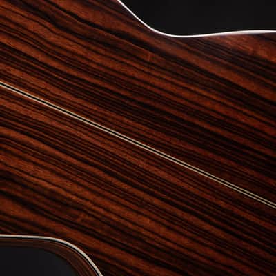 Goodall Parlor 14 Fret Cutaway - Bearclaw Sitka Spruce & Macassar Ebony image 12