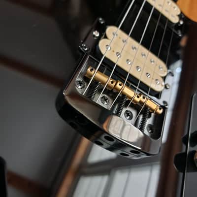 Carparelli T-Style HH Electric Guitar – Phoenix Humbuckers, Roasted Maple Neck, Push/Push Coil Split, 2026 - Gloss Black with Cream Binding image 6