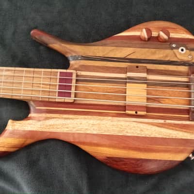 Thompson tribute Bassovarius #2 "Full Rainbow"5 strings bass image 14