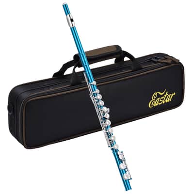 Concert Flute for Students – Sky Blue Beginner Band Flute with Hard Case, Stand, Cleaning Kit & Accessories image 8
