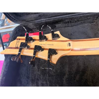 ESP LTD B-206SM 6-String Bass Spalted Maple Body with Roadrunner Hardcase! image 7