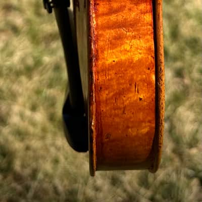 Old Grafted Montagnana Label Violin attributed to Nicholas Vasich 4/4 image 14