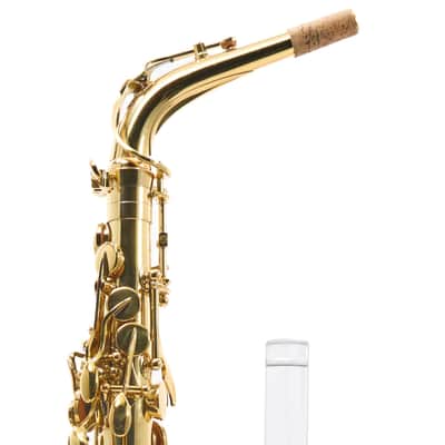 Giardinelli by Eastman GAS10 Alto Saxophone in Gold Lacquer SN 11533980 image 11