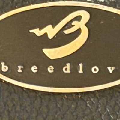 Breedlove C250/EFe Sunburst 2012 - Sunburst image 14