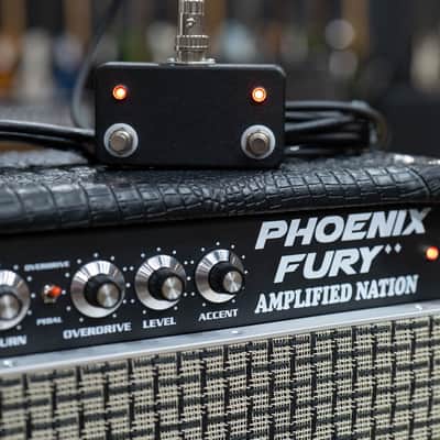 Amplified Nation Phoenix Fury 50W Head & 112 Cab – Black Croc image 5