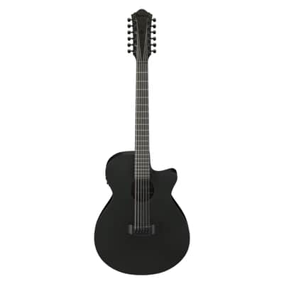 Ibanez AEG1221 12-String Acoustic-Electric Guitar - Black Out image 2