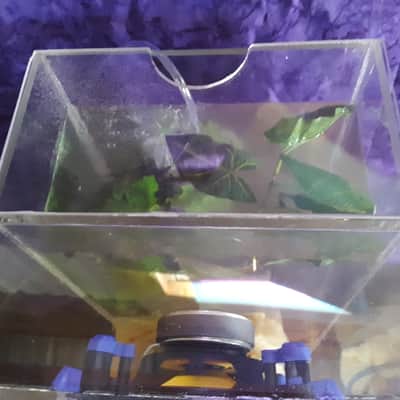 HEMPOPOTAMUS FISH TANK SPEAKER KEVLAR WOOFERS WITH RUBBER SURROUND WITH GRAVEL PUMP AND BUBBLER 1 image 14
