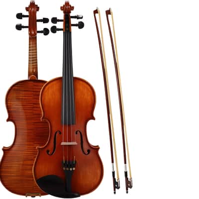 GEWA Mittenwald Karwendel 4/4 Size Violin with Case and Bow | Reverb