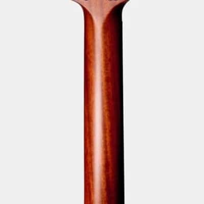 Furch Bevel 21 Limited Rainbow GC-SW Duo Bevel Guitar 2021 image 10