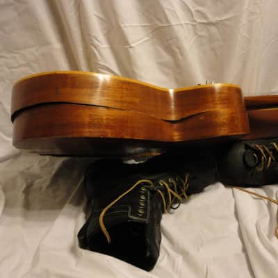 Knutsen Symphony 18 String Harp Guitar 1902 Natural image 17