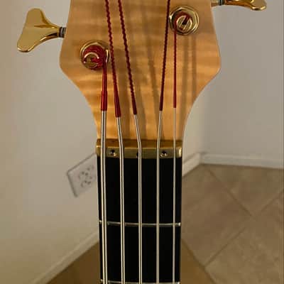 Alembic Mark King Signature 5-String image 13