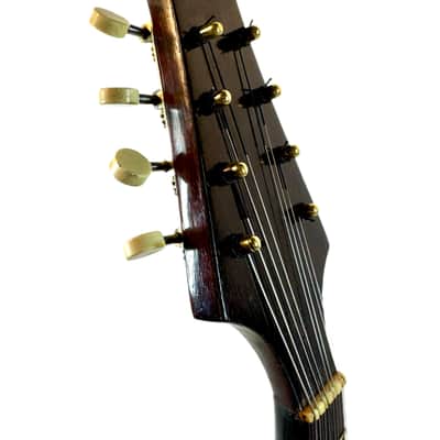 Concert Mandolin G. Kasermann (Carlo Sartori Label) from 1929 image 13
