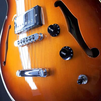 Hamer USA Newport Pro 2004 image 10