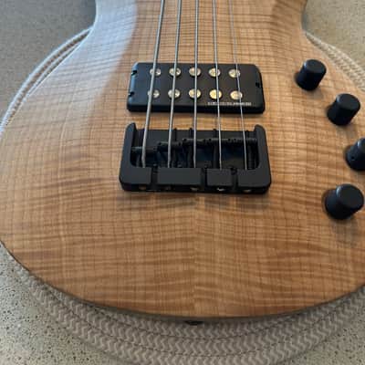 Jackson 2009 NAMM Show Custom 5 image 6