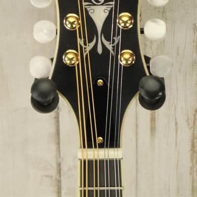 DEMO Gold Tone GM-80 - Cherry Burst Satin (058) image 5