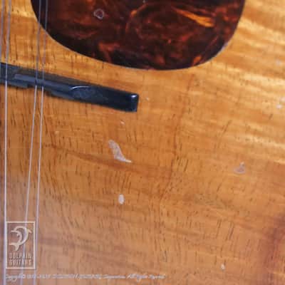 C.F.Martin Style-AK 1920[Pre-Owned] image 13
