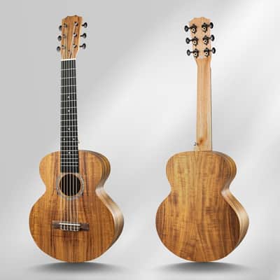 6 String Guitar Beginner Travel Guitar Gigbag Kit image 2