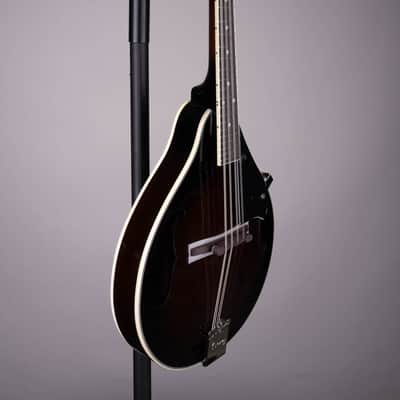 Ibanez M510 A Style Acoustic Mandolin Dark Violin Sunburst High Gloss image 3
