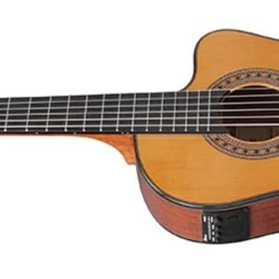 Ibanez Ga5 Tce3 Qam image 2