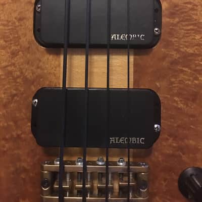 Alembic Spoiler 1992 image 3