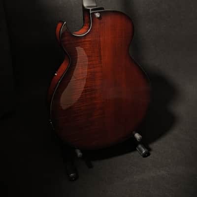 Fibertone 16SC 2026 - wine red image 3