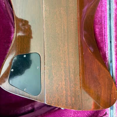 Gibson Firebird Medallion 1972 - Natural image 7