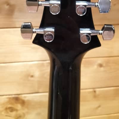 PRS S2 custom 24 2024 image 3