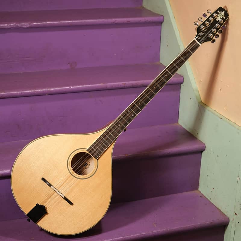 2010s Trinity College TM-375 Irish Bouzouki (As-new! w/OHSC! Fresh Setup, Ready to Go) image 1