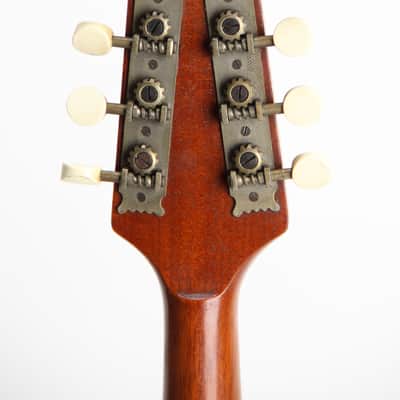 Howe-Orme No. 34 Mandolin 1900 image 8