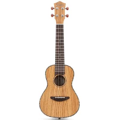 Zebrawood Body 23 inch Concert Ukulele with Ukulele Set Tuner Strap Nylon Strings image 2