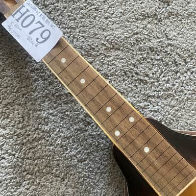 Sunburst 8 String Mandolin Project, Spruce Top, Mahogany Body, Rosewood Fingerboard image 10