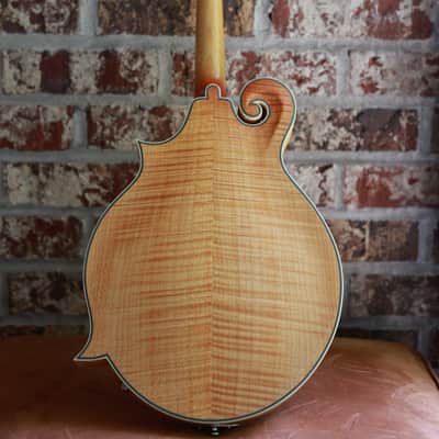 Epiphone MM-50E Professional Mandolin 2010s - Vintage Natural image 2