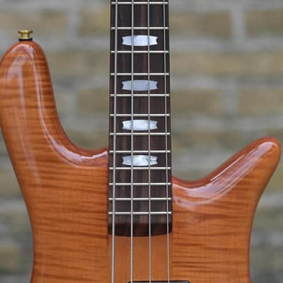 Spector Doug Wimbish Euro 4 Signature Model - Amber Stain Gloss image 5