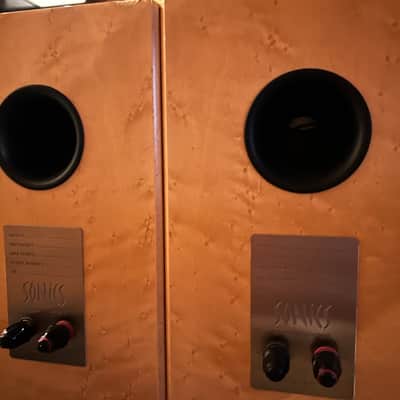 Sonics Anima by Joachim Gerhard with Class D Amp image 6