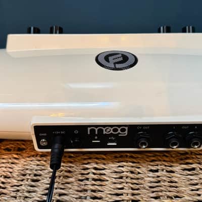 Moog Theremini Theremin 2016 White image 4