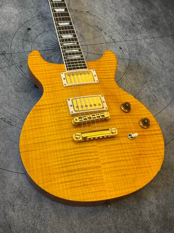 Gibson Les Paul Standard Double Cutaway Plus 2001 - 2006 | Reverb