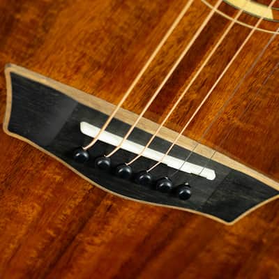 Washburn Comfort G55CE Koa image 10