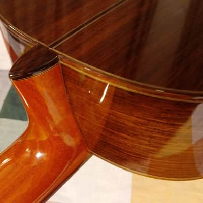2020 Cordoba (Luthier Select Friederich) Classical Guitar image 8