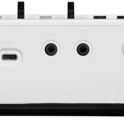Korg Liano Live image 4
