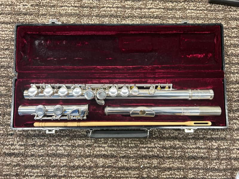 Haynes Amadeus 500 - Silver plated image 1